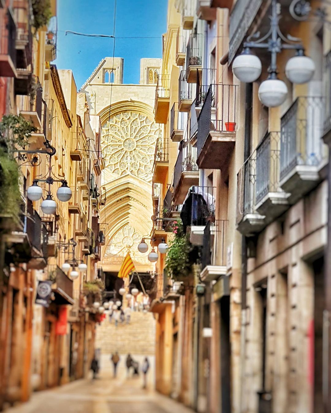 167170194_3717001931689016_1824621560249833838_n