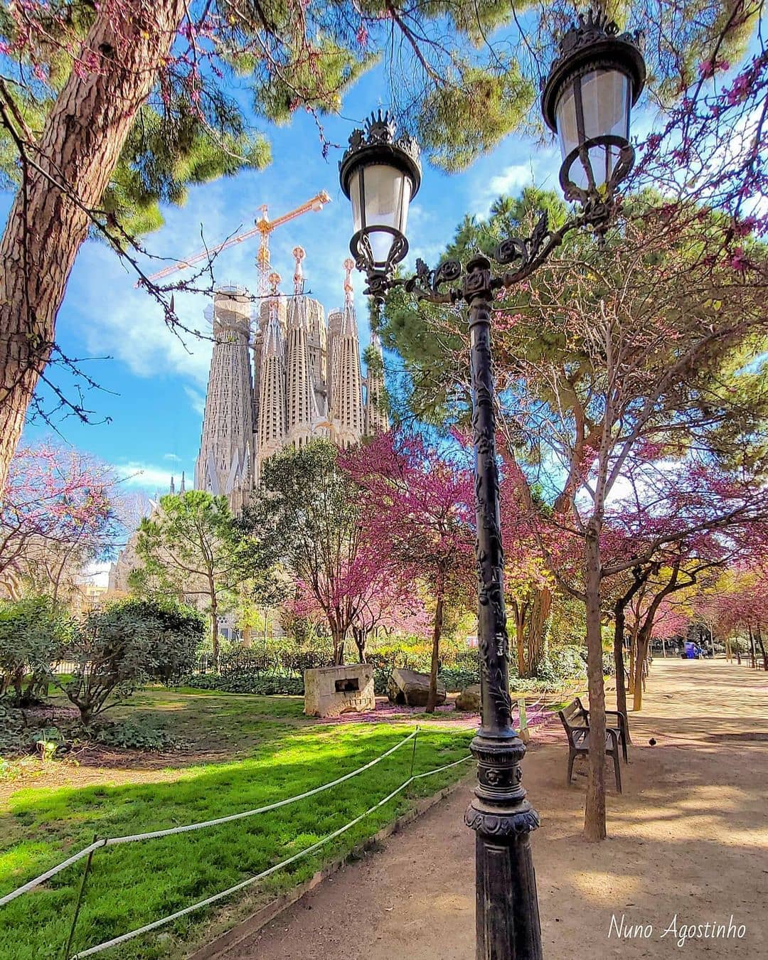 169352991_4457391000939225_4997429116973563129_n