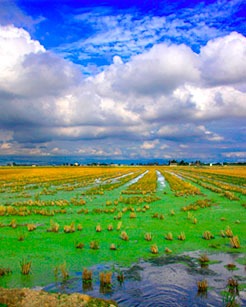 44118645_1900736410002398_5154307088477847552_n